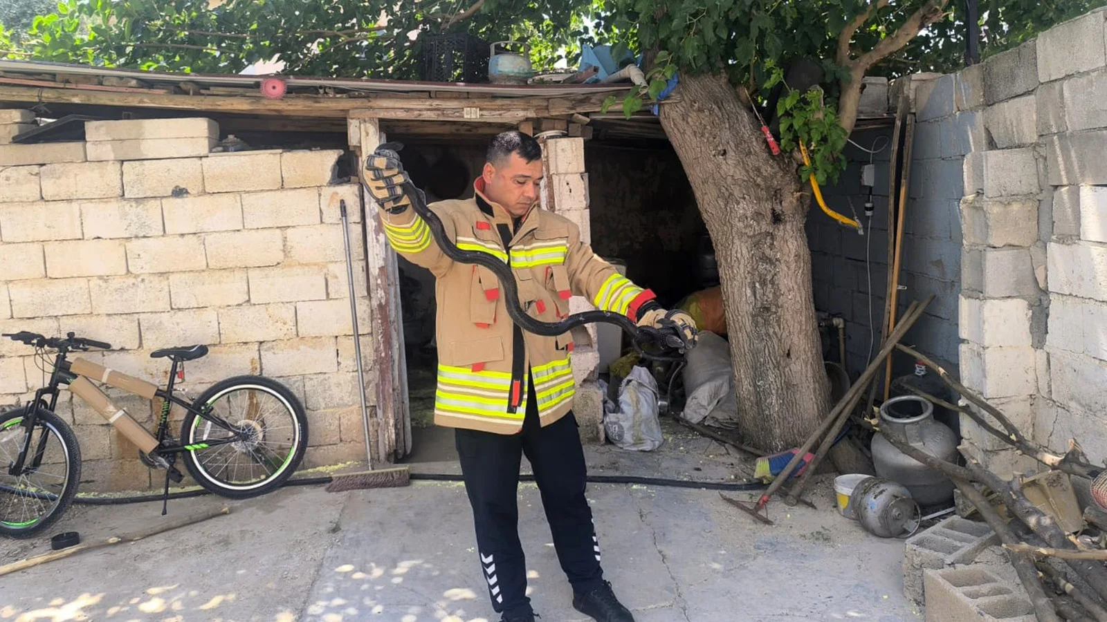 Kumlu’da evin bahçesinde görülen 2 karayılan paniğe neden oldu