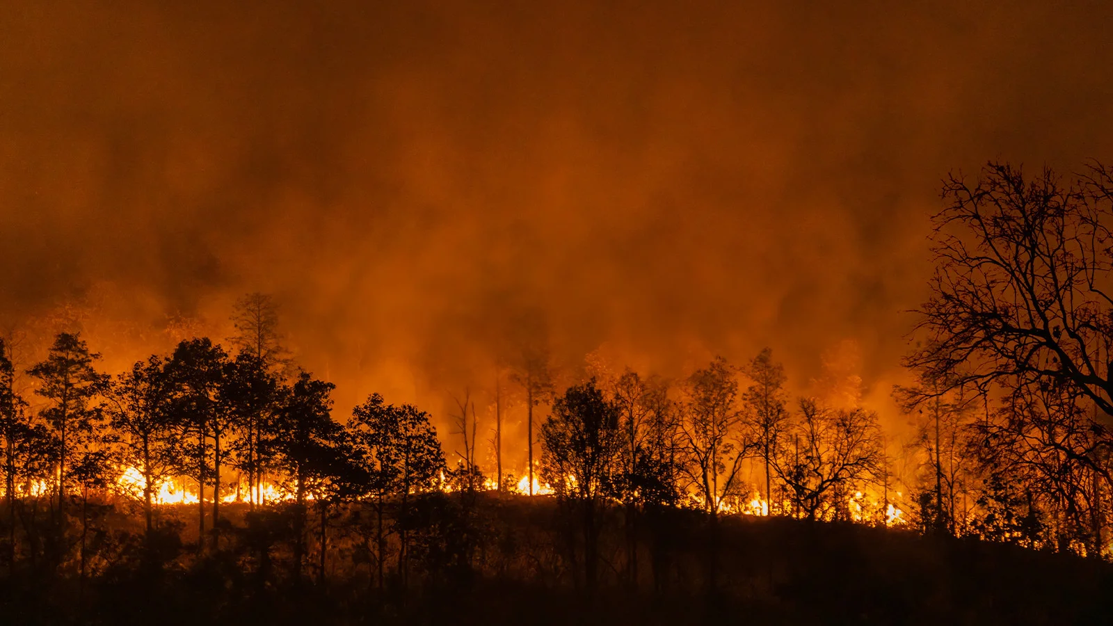 Süper El Niño uyarısı: Yeni bir iklim krizi kapıda mı?