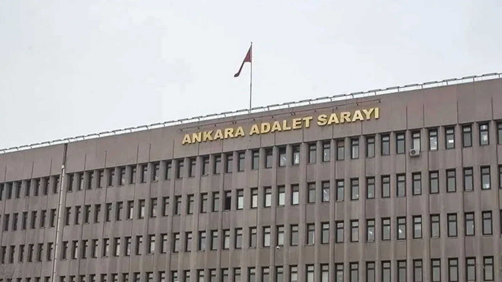 Yavru kediyi işkence ederek öldüren 2 şahıs hakkında soruşturma başlatıldı